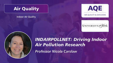 What is INDAIRPOLLNET?